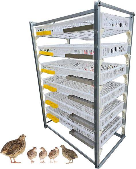 Quail Layer/Breeder Cage - FDI Poultry Equipment - raincitystudios.com