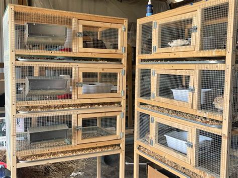 Quail Layer Cages Plans - Plansmanage - raincitystudios.com