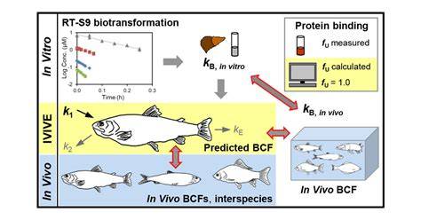 Quantitative uncertainty estimation in biophysical models of fish ... - raincitystudios.com