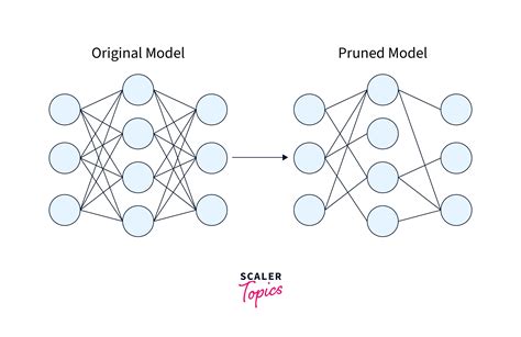 Quantization and Pruning - Scaler Topics - coolestguyplanet.net