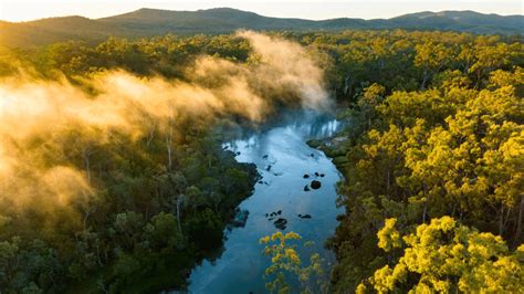 Queensland's Protected species - Lumholtz s ... - Queensland … - wintechmobiles.com
