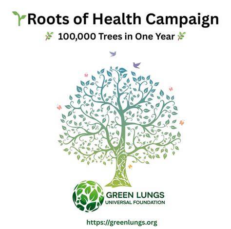 Queensland government committed to protecting its 'green lungs' - raincitystudios.com