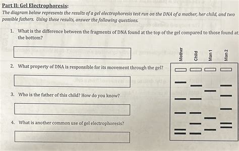 Question 2 For the results of a gel electrophoresis to be interpreted ... - wintechmobiles.com