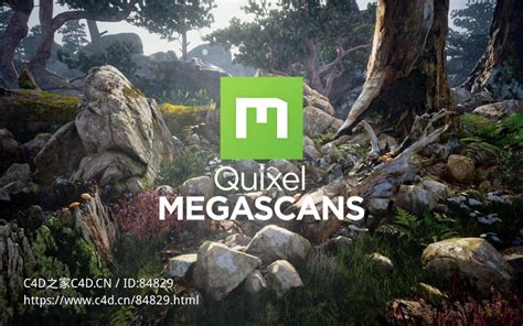 Quixel Megascans - #1 choice for games, VFX, archviz … - muktibox.com