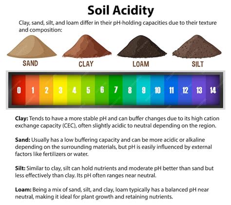 Quiz: Soil Chemistry: Understanding Soil Acidity, Salinity, and ... - wintechmobiles.com