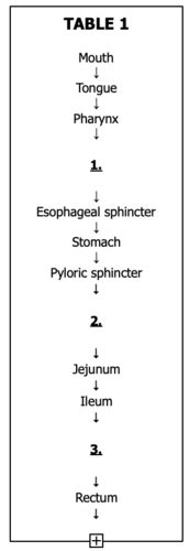 Quiz 11 Flashcards | Quizlet - wintechmobiles.com
