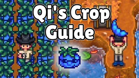 Qi beans stardew valley. Things To Know About Qi beans stardew valley. 