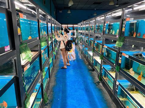 Qian Hu Fish Farm & Kok Fah Technology Farm