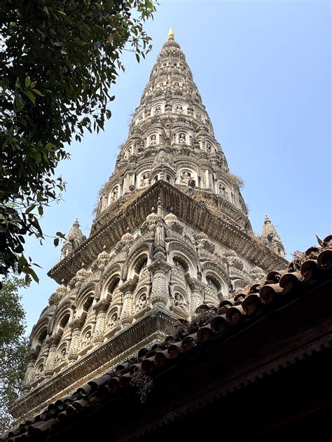 Qqipi Onlyfans Leak (SEX) 229 Photos