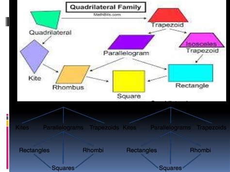 Quadrilaterals - SlideShare