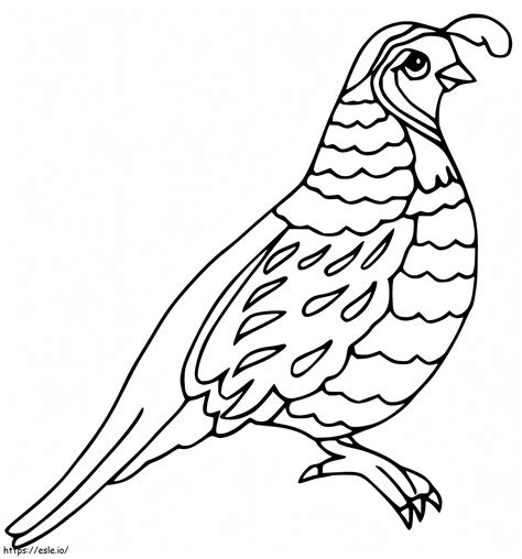 Cookie Coloring Pages Printable
