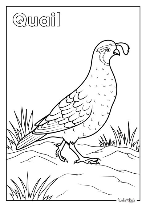 Printable Dog And Cat Coloring Pages