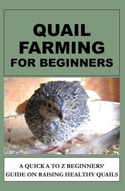 Quail farming for beginners a quick a to z beginners guide on raising healthy quails. - Scarica le armi di distruzione della matematica come i big data.