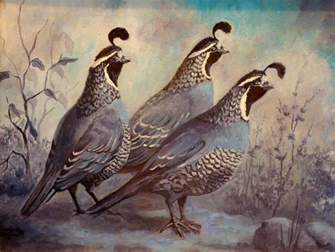 Quail oil. For purchase information and other inquiries please contact Gabriel Diego Delgado, Gallery Director, J.R. Mooney Galleries, Boerne 1-830-816-5106 gabrield@jrmooneygalleries.com ABOUT J.R. MOONEY ... 