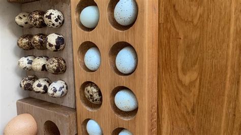 Quail point of sale. Baby quails eat seeds, nuts, fruit, grains, berries and other plant materials. They also eat lizards, snails, worms, beetles, caterpillars and spiders. Chicks of some species, such... 