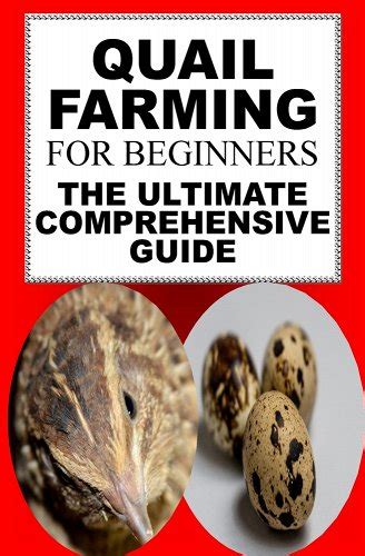 Full Download Quail Farming For Beginners The Ultimate Comprehensive Guide By Karen June P