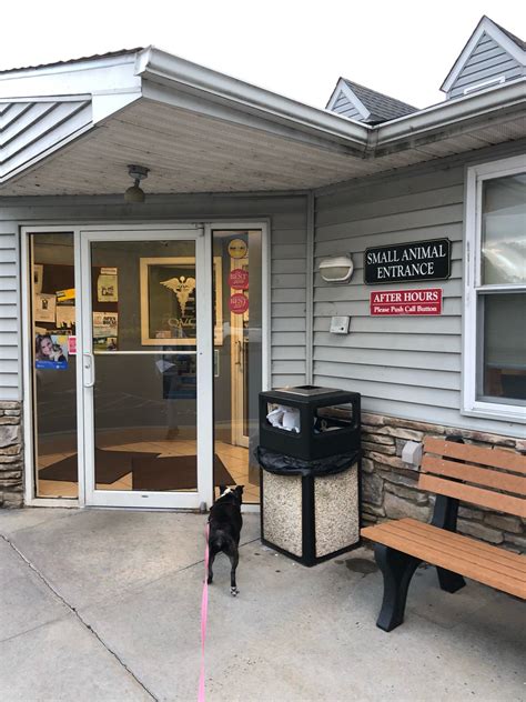 Quakertown vet clinic. 2250 N. Old Bethlehem Pike. Quakertown, PA 18951. 215-515-8810. Map & Directions [+] We offer a range of veterinary services to help keep your pet happy and healthy. … 