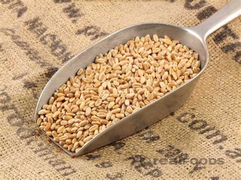 Quality bulk grains & beans individually or in assortments