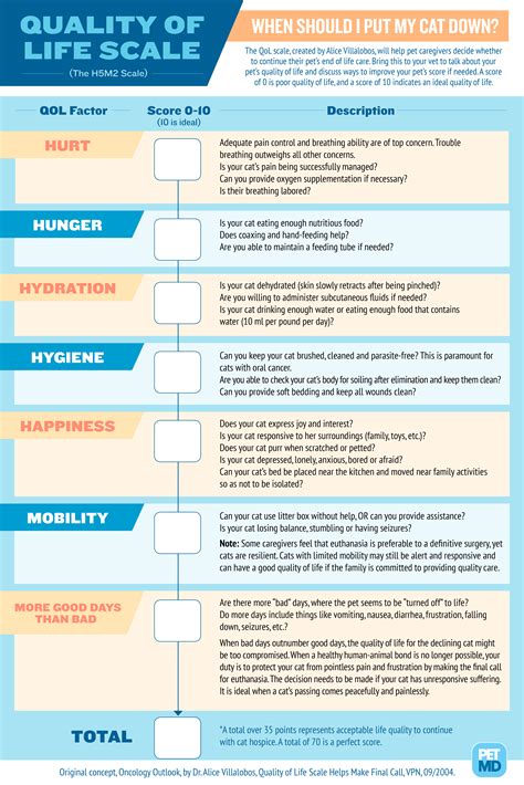 Quality of Life Scale to Decide When to Put Your Cat …