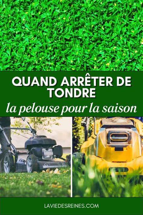 Quand tondre la pelouse biodiversité