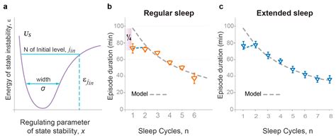 Quantitative Modeling of Sleep Dynamics SpringerLink