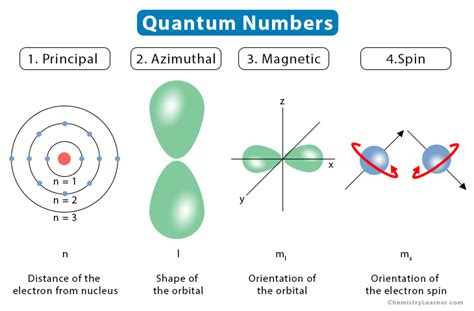 Quantum Numbers And Rules Physics