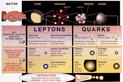 Quarks and leptons halzen martin guide. - Coleccion de recetas a la parrilla (favorite brand name/best-loved).