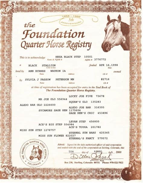 Quarter horse registry lookup. Occasionally, a horse will have a microchip. These require a special scanner to locate and read. A veterinarian or animal shelter often can assist with this. With the microchip information, you might be able to find the horse's previous owner or breeder. Furthermore, in some cases, DNA testing can help identify the horse's sire and dam. 