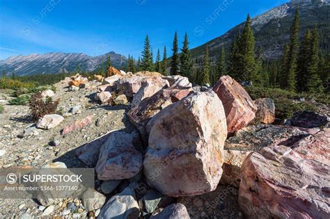 Quartzite Boulder Field - Icefields Parkway. Please log in or sign up for free to see the GPS coordinates & weather for this photo spot. Add photo. Bookmark. These medium-sized boulders have formed a picturesque …