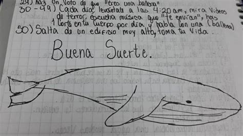 Que Es El Peligroso Juego De La Ballena Azul Y Por Que Preocupa A Las Autoridades Bbc News Mundo