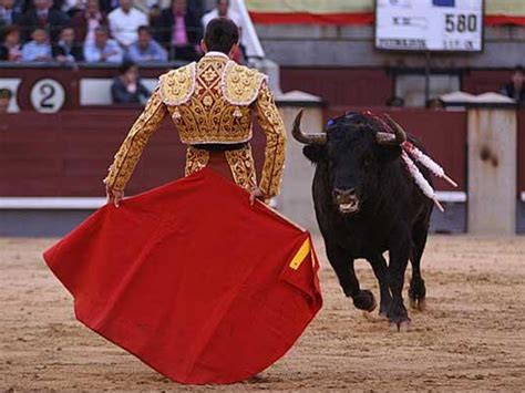 La tauromaquia es originaria de España y se remonta a la edad de bronce, en donde solo la realeza era digna de demostrar su valentía frente a un toro, al contrario de lo que se cree, el rejoneo es la expresión más antigua, los escritos datan del año de 1455 en España.. 