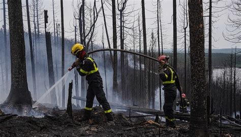 Quebec forest fire situation continues to improve with rain but risks remain: SOPFEU