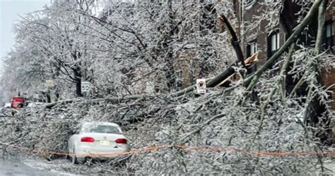 Quebec ice storm: More than one million customers without power, man crushed by tree