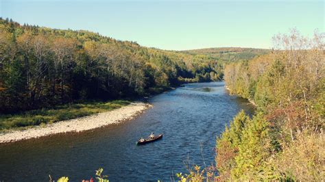 Quebecnouveau brunswick: segments des rivieres patapedia et ristigouche et de la baie des chaleurs. - Bounty hunter pioneer 202 metal detector manual.