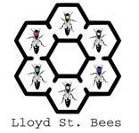 Queen Bees Lloyd Street Bees Wisconsin