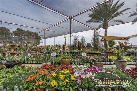 Queen Creek / San Tan Valley. Our San Tan nursery location is located at 5545 West Hunt Highway, Queen Creek, AZ 85142. This nursery features many acres full of the best trees, hedges, palms, shrubs, cacti, flowers, and more! Start your project with a FREE professional landscape design consultation, available at the nursery, your home, or your .... 