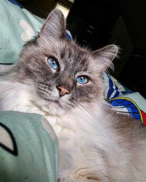 Queenievoncurves Leaked [CLIP] 🍑