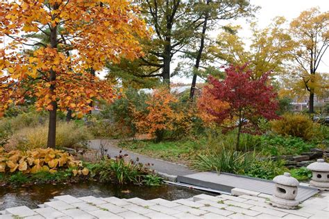 Queens botanical garden photos. .  <a href=https://dev.getalpha.net/assets/images/6ehkg6re/inde...