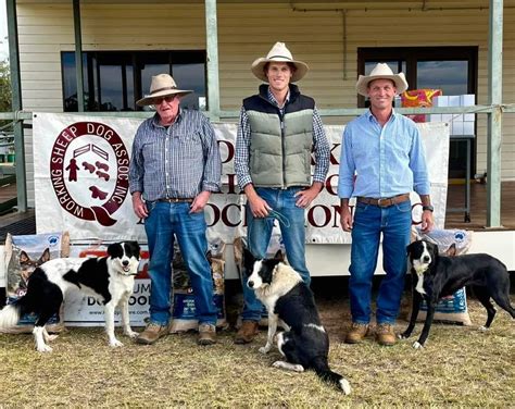 Queensland Working Sheepdog Association Facebook