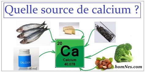 th?q=Quel+est+le+meilleur+calcium+pour+l