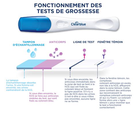 th?q=Quel+est+le+taux+HCG+pour+être+enceinte+