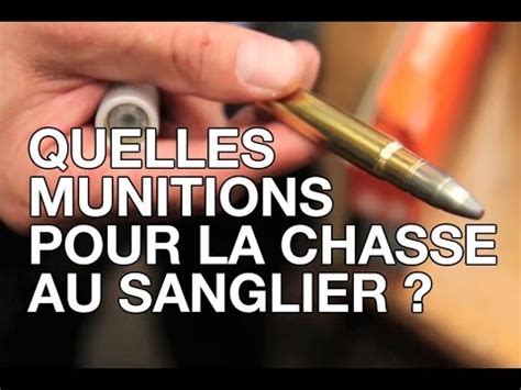 Quelle Balle En 30.O6 Choisir Pour Le Sanglier Et Cerf?