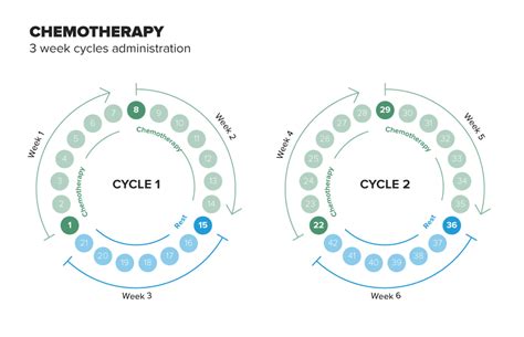 Question: How Many Cycle In Chemotherapy - BikeHike