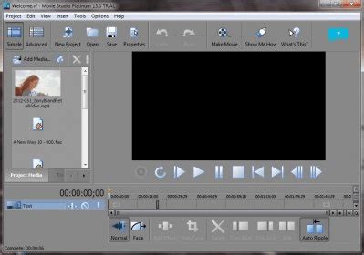 Question Rendering issue with Movie Studio Platinum 12