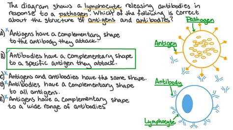 Question Video Identifying the Structural Relationship between