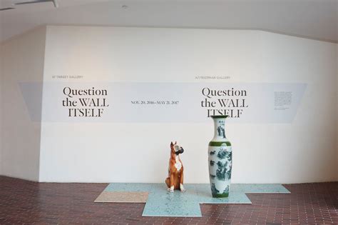 Read Online Question The Wall Itself By Fionn Meade