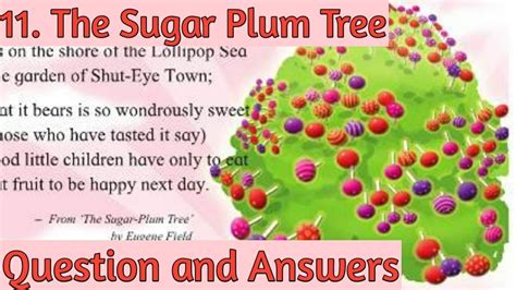 Questions, Answers and Comments about Plum Trees