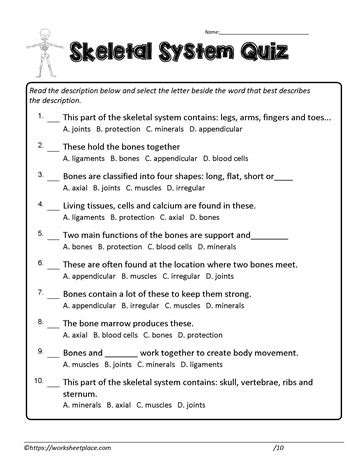 Questions Answers Skeletal System