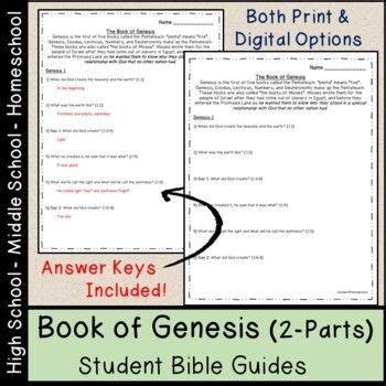Questions Arising from the Genesis Collapse