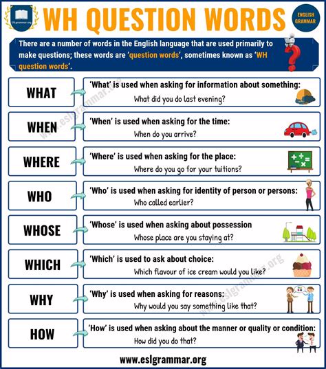 Questions Words Video